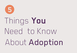 5 Things You Need to Know About Adoption