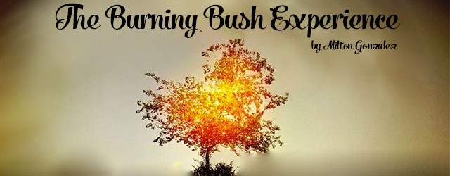 The Burning Bush Experience